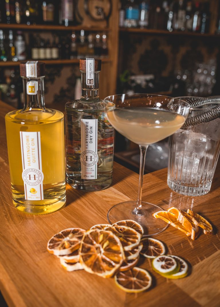 Martini mit Hartingowe Gin