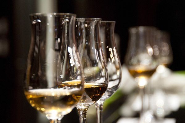 Gin-Destillat im Nosing-Glas