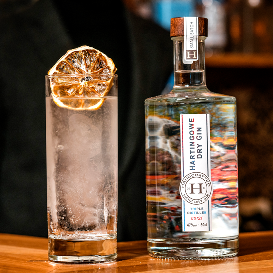 Gin Tonic