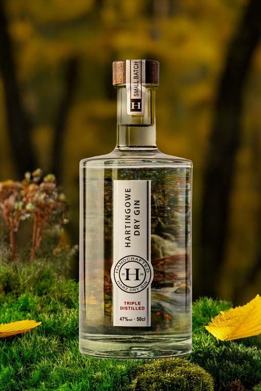 Bester Gin für Gin-Tonic