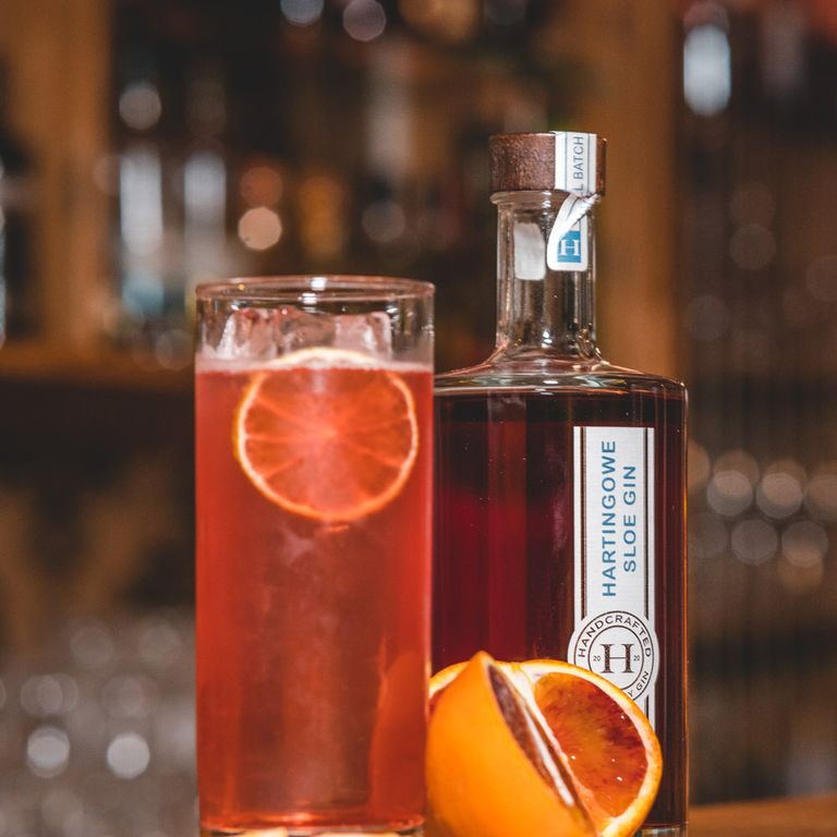 Sloe Gin Bitter Lemon