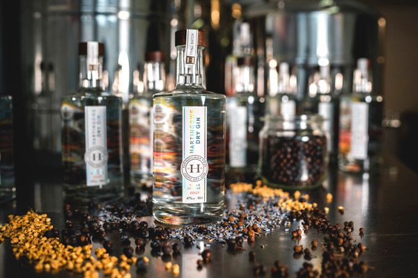 Hartingowe Gin Produktion