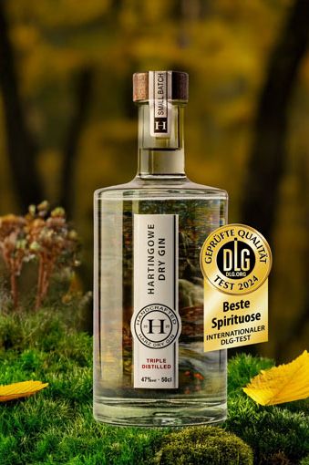 Bester Gin 2024
